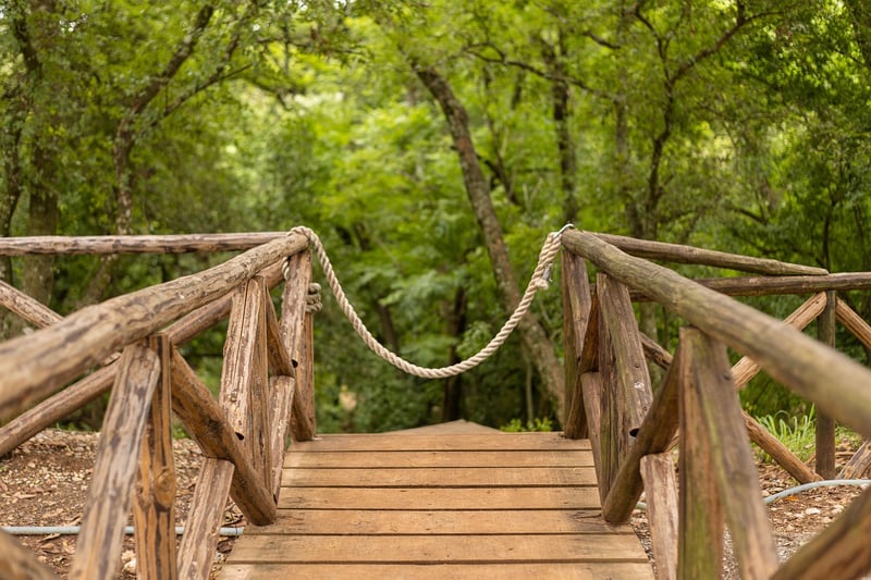 Lush Walkway Landscapes