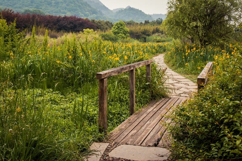 Whimsical Garden Paths